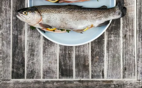 Choosing fresh fish: what to look for