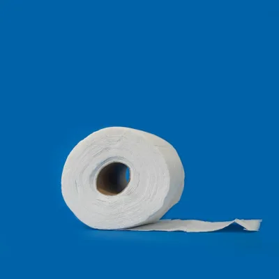 Bashundhara Gold Toilet Tissue 218 Sheets 2 Ply